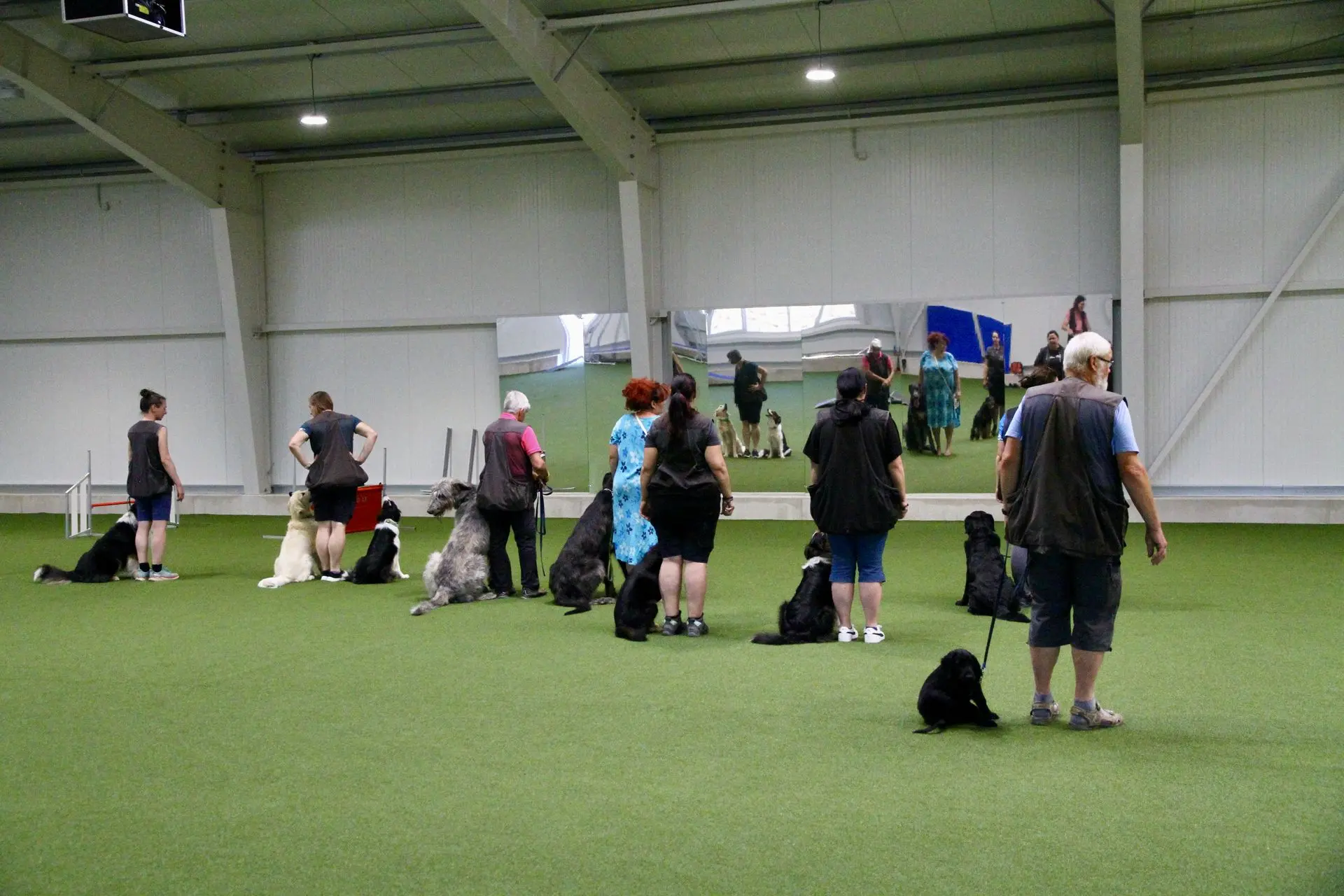 Indoortraining am Dogsworld Campus Neufelden