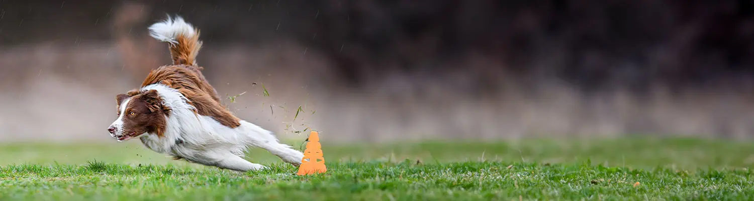 outdoor Training mit Geraeten