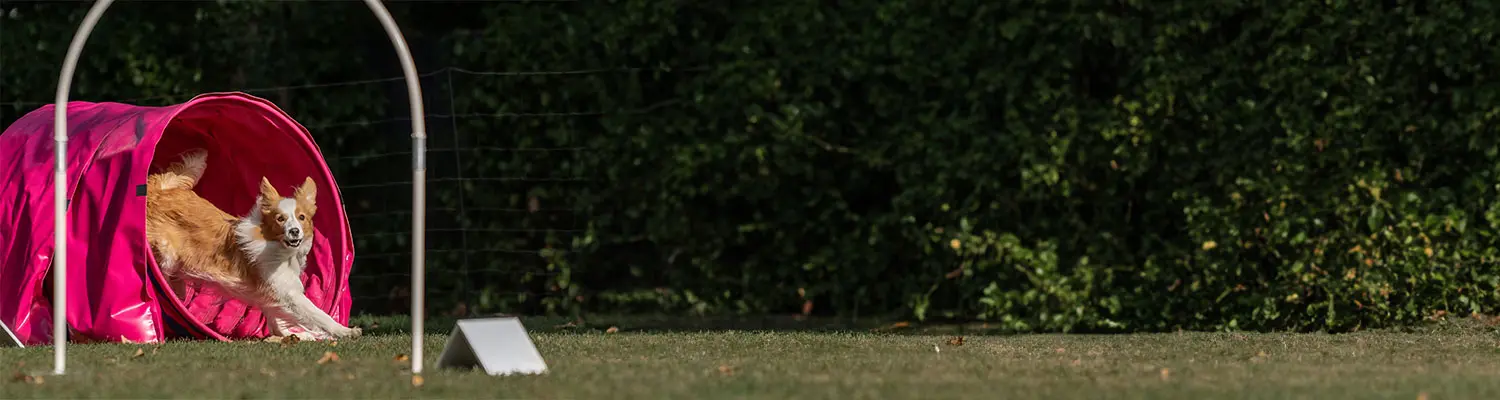 outdoor Training mit Geraeten 