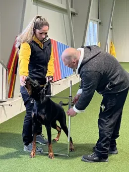 Training in der Trainingshalle Granit mit Roland Meinx
