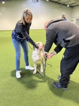 Training mit Roland Meinx