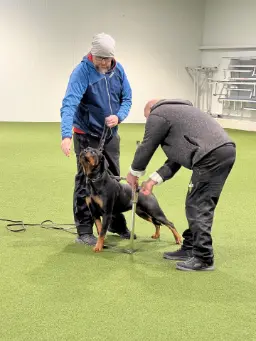 Training mit Roland Meinx