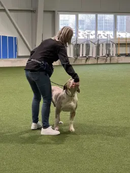 Workshopteilnehmerin mit Hund in der Trainingshalle