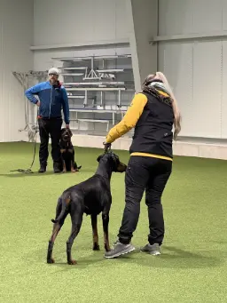 Hund und Halterin beim Training in der Trainingshalle Granit