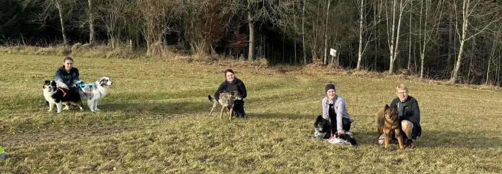 Workshopteilnehmer mit Hunden