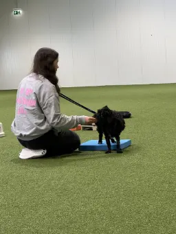 Workshop Teilnehmerin mit Hund