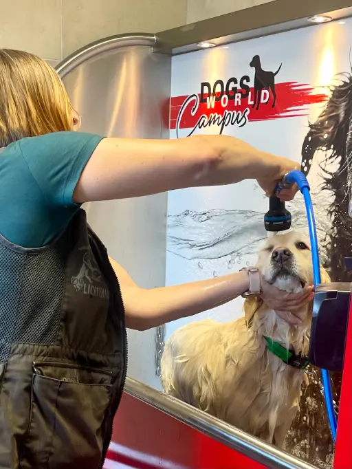 Hund im Splash Hunde Spa am Dogsworld Campus