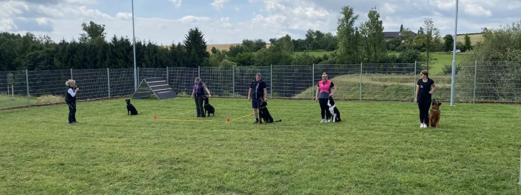 Hundetraining in der Trainingszone am Dogsworld Campus