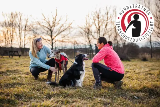 Frauen und Hunde bei der Ausbildung