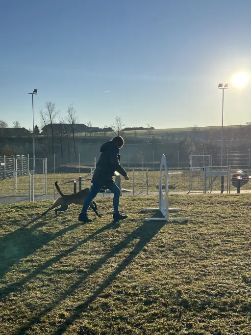 Hundetraining am Dogsworld Campus