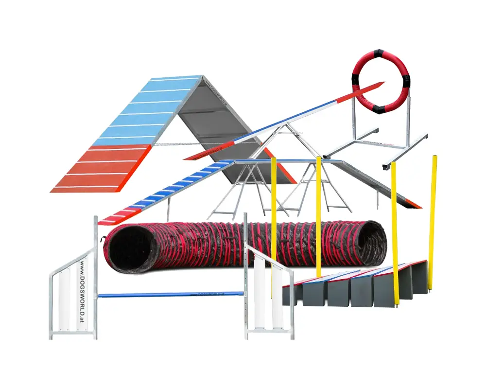 Agility Geraete in der Trainingshalle Granit