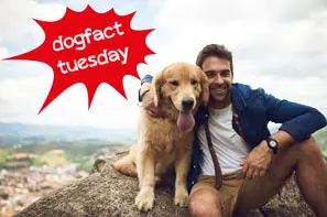 Mann mit Hund sitzt am Felsen