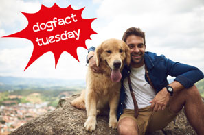 Mann mit Hund sitzt am Felsen