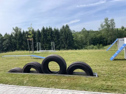 Hindernis Reifen Ninja Parcours Dogsworld Campus