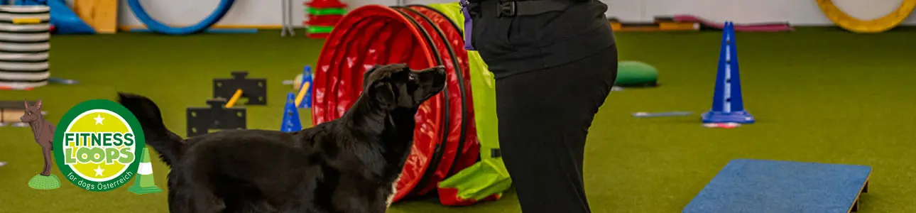 bunte fitness loop geräte 