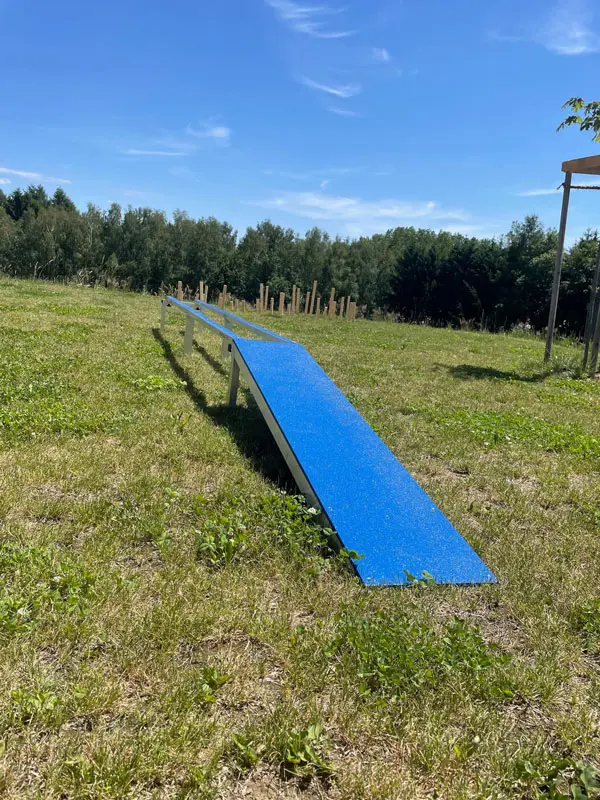 Balance Balken Hindernis am Ninja Parcours am Dogsworld Campus