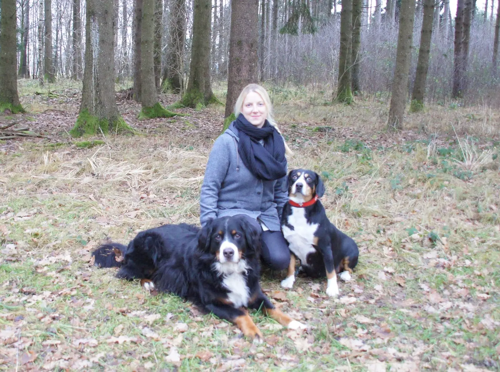 Brigitte mit Hunden im Wald