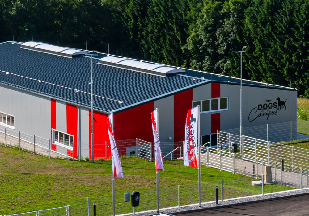 Trainingshalle Granit mit Hundesportgeräten, Spiegelwand, Videoaufzeichnung und mehr
