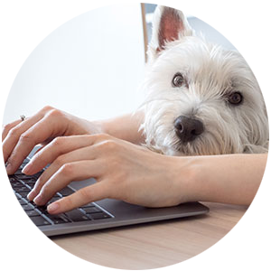 Dogsworld Campus
