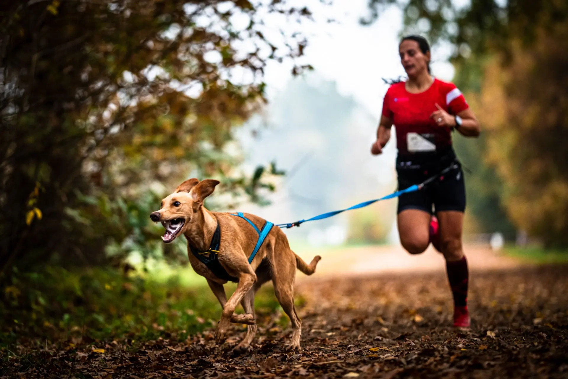 Canicross Champion Elisabeth Trunkenpolz beim Canicross-Bewerb