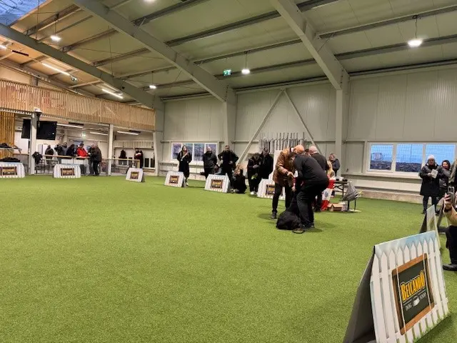 Event in der Trainingshalle am Dogsworld Campus