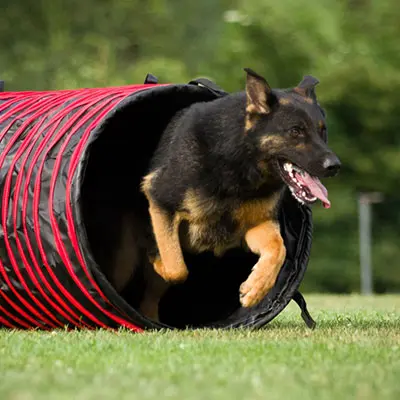 Trainingszone